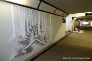 IMG7587