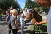 IMG0245