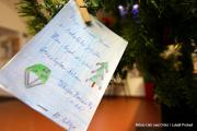 IMG4673