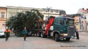 IMG4733