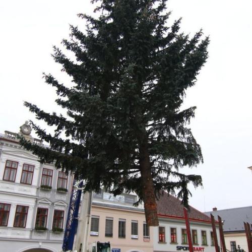 IMG4748