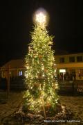 IMG5579