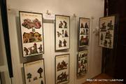 IMG5511