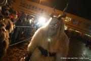 IMG5941