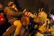IMG5979
