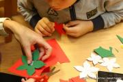 IMG6783