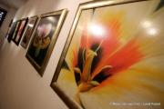 IMG6863