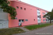 IMG6269