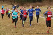 IMG9175