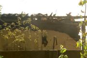 IMG5867