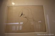 IMG7115