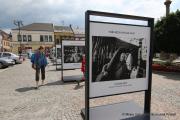 IMG94191