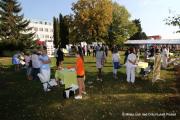 IMG98751