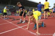 IMG00541