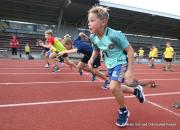 IMG00811