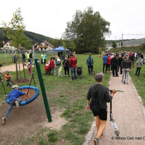 IMG2411
