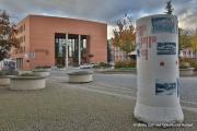 IMG45881
