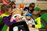IMG54861
