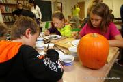 IMG54931