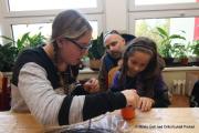 IMG55391