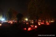 IMG55852