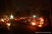 IMG55892