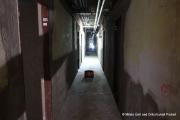 IMG67061