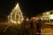 IMG79631