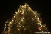IMG7969