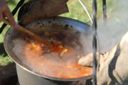 IMG5563