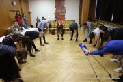 IMG4233