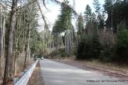 IMG6540