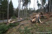 IMG6558