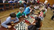 IMG75331