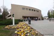 IMG94171