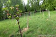 IMG0802