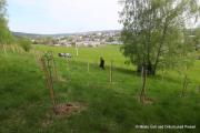 IMG08091