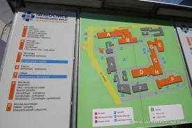 IMG3884