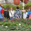 Informace k volbám do Senátu a zastupitelstev krajů (2)